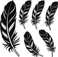 Obraz premium Elegant Feather Silhouette Collection.