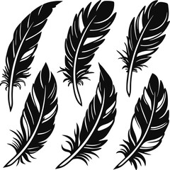 Obraz premium Elegant Feather Silhouette Collection.