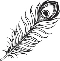 Obraz premium Graceful Peacock Feather Silhouette.