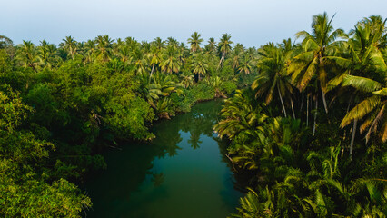 Lush tropical paradise in Chumphon Thailand with serene waterways and vibrant greenery