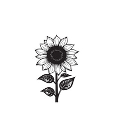 Fototapeta premium sunflower on white background
