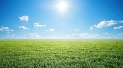 Obraz premium Expansive Green Field Under Bright Blue Sky with Fluffy Clouds