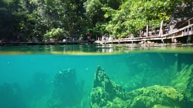 snorkeling Kayangan Lake limestone rocks in Philippines. tourism destination for snorkeling and scuba diving in Coron, Palawan. 