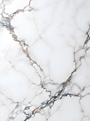 Fototapeta premium Pristine White Marble Background