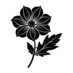 A Cosmos flower silhouette