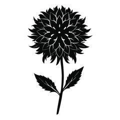 black silhouette of a dandelion, A flower silhouette