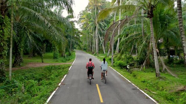 Two cyclists enjoy a peaceful ride along a scenic road in Chumphon Thailand. Surrounded by vibrant palm trees and lush vegetation, they embrace the beauty of nature.