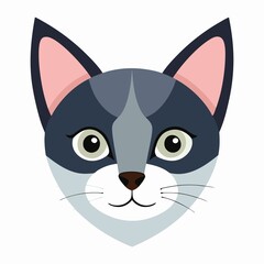 vector illustration of a cat