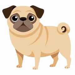a cute pug dog, vector, illustration and white background