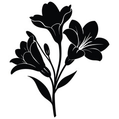 A Freesia flower silhouette, lily of the valley