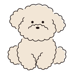 かわいいトイプードルのベクターイラスト。犬、ペット