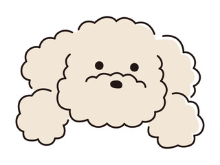 かわいいトイプードルのベクターイラスト。犬、ペット