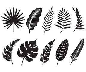 Obraz premium Tropical leaves realistic leaf silhouette collection