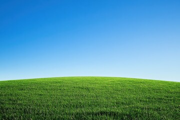 Fototapeta premium Vast green field under a clear blue sky. Perfect for nature, peace, and serenity themes.