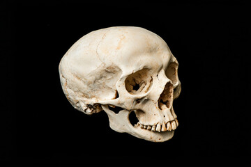 Obraz premium Ancient human skull with visible cracks and weathered texture isolated on a black background for medical and historical study