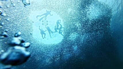 School of sardines in Moalboal, Cebu Island, Philippines. sardine run, snorkeling and scuba diving tourist destination. 
