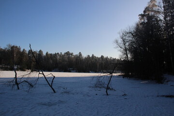 Luminous Frostscape: Sunrays Dancing on a Snow-Encrusted Forest River