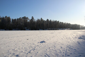 Crystalline Currents: Sunbeams Illuminating a Snow-Encased River in Frosty Woods