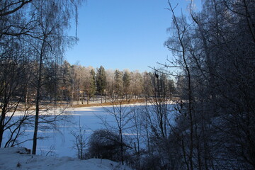 Sunlit Solitude: Frosted River Winding Through a Snow-Blanketed Winter Forest