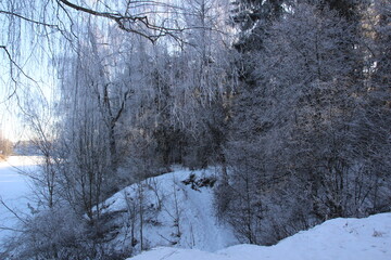 Snowbound Symphony: Frost-Laden Trees Guarding a Sunlit Icy Watercourse on hills