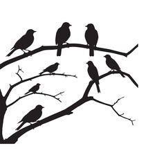 Birds at tree silhouettes white background