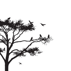 Birds at tree silhouettes white background