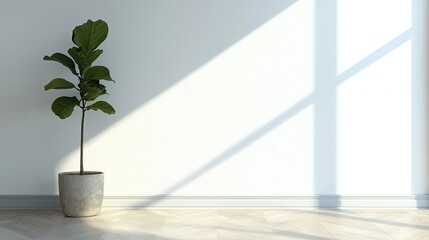 Fototapeta premium Modern empty room with white walls, parquet flooring, and a fiddle-leaf fig tree in a pot on the left, featuring bright natural light and a minimalist 3D rendering mock-up design. 