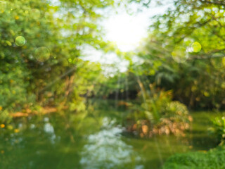 Naklejka premium Eye level view blur and bokeh shot in a forest or garden with morning sunlight.