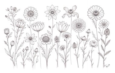 Elegant Flower Sketches Black and White Botanical Art Graphic Illustration