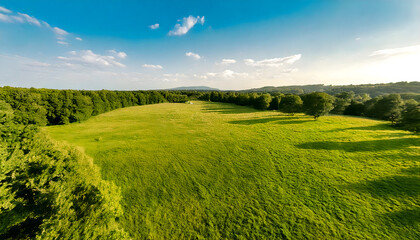 Fototapeta premium Aerial View of a Beautiful Green Meadow and Blue Sky in a Scenic Countryside