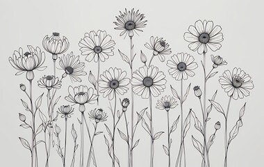 Daisy Flowers Line Art Illustration with Delicate Petals and Stems