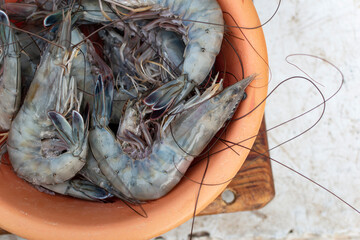 jumbo Mexican shrimp close-up