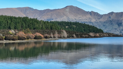 Aerial views of Glendhu Bay coastline at Lake Wanaka on a beautiful sunny day