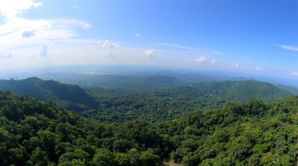 Obraz premium PNG Amazon forest landscape nature scenery natural.