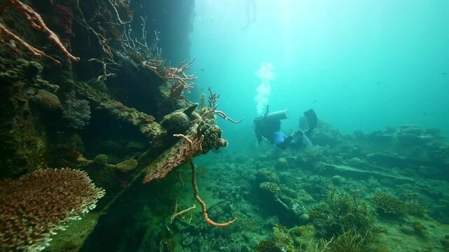 underwater Philippines scuba diving. tourism destination for coral reef and shipwrecks diving in Coron, Palawan. 