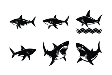 Bundle Vector Silhouettes of Great White, Hammerhead and Hunting Sharks