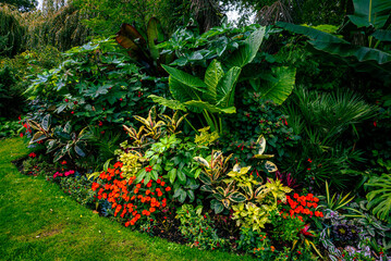Garden flowers  bed in park in summer © Dmitry