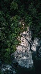 Obraz premium Rocky cliff covered by trees and vegetation next to water. Drone view for nature publications