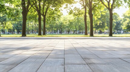 Fototapeta premium Sunlit Pathway Through Lush Green Park