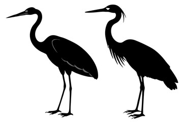 Herons Silhouette vector illustration