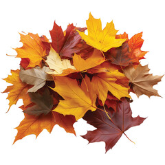 Fototapeta premium A pile of autumn leaves PNG, Fall leaf illustration