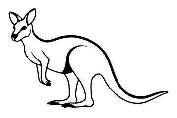 Kangaroo Silhouette vector illustration