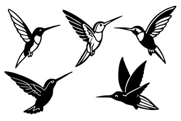 set of Hummingbirds Silhouette vector illustration