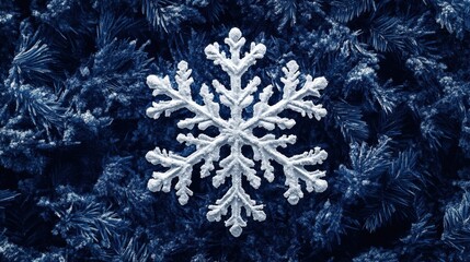 White snowflake on blue pine branches, winter holiday background, card design