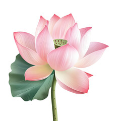 Obraz premium A high-quality vector-style digital illustration of a pink lotus flower with smooth, elegant petals and a large green leaf, designed with a clean and artistic approach, transparent background, PNG