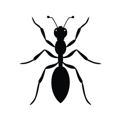 ant silhouette isolated on white background