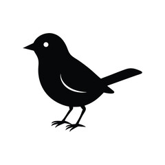 bird silhouette isolated on white background