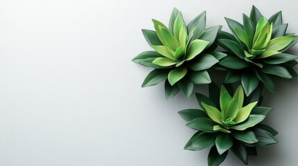 Unique contemporary artificial plants on solid white background with copy space