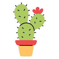 Colorful Cactus Plant in a Decorative Pot