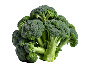A cluster of broccoli florets isolated on white or transparency background
